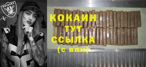 гашик Алзамай